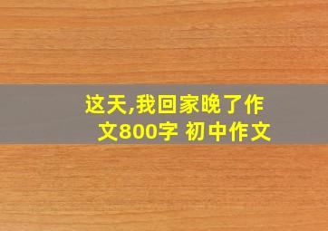 这天,我回家晚了作文800字 初中作文